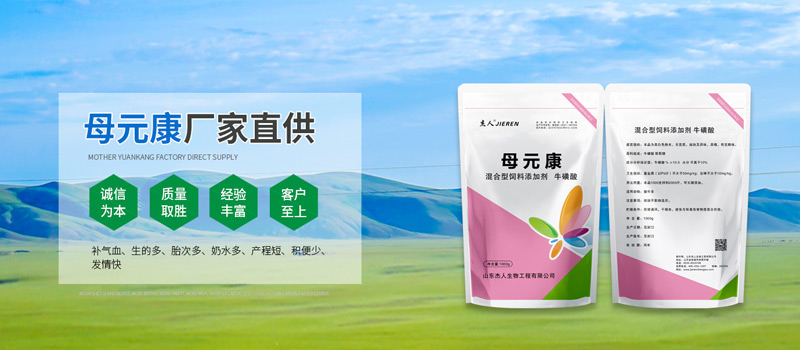 母元康