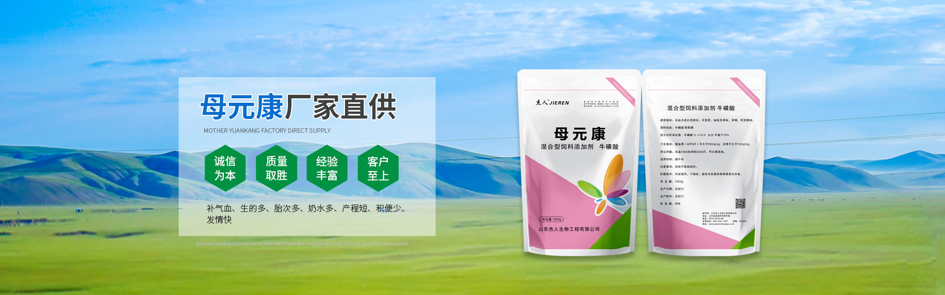 母元康